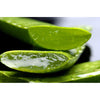 Fruit Of The Earth - Aloe Vera 100% Pure Gel